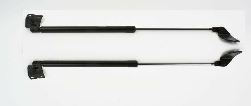 NEW Genuine Suzuki ALTO 00-06 PAIR of TAILGATE STRUTS Boot Balancer 81850M79G10 81860M79G20
